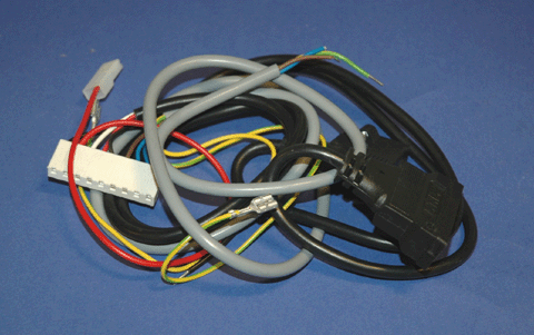 bx  pt gold h29003 hrn.gif